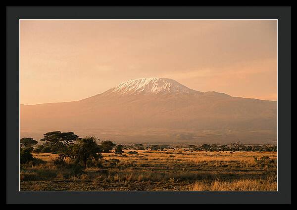 Majestic Kilimanjaro At Dusk