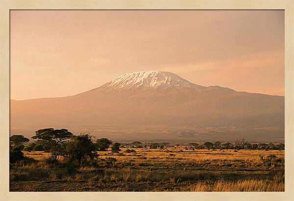 Majestic Kilimanjaro At Dusk