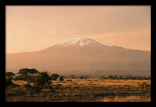 Majestic Kilimanjaro At Dusk