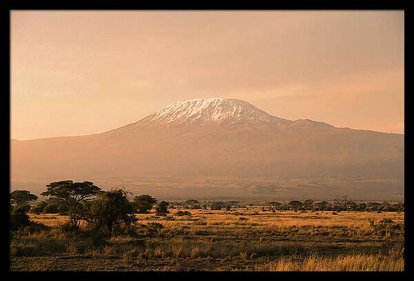Majestic Kilimanjaro At Dusk