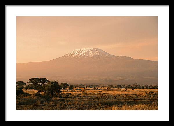 Majestic Kilimanjaro At Dusk