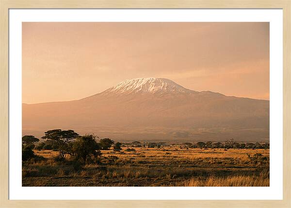 Majestic Kilimanjaro At Dusk