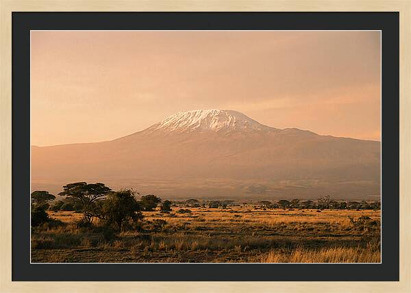 Majestic Kilimanjaro At Dusk