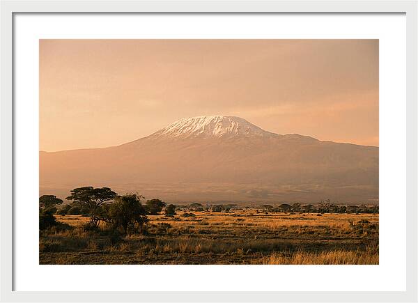 Majestic Kilimanjaro At Dusk