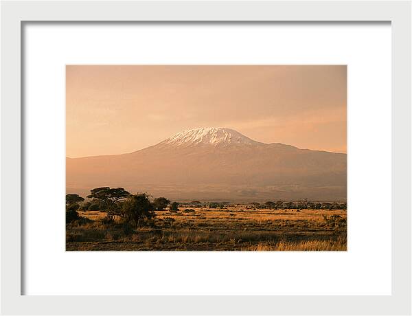 Majestic Kilimanjaro At Dusk
