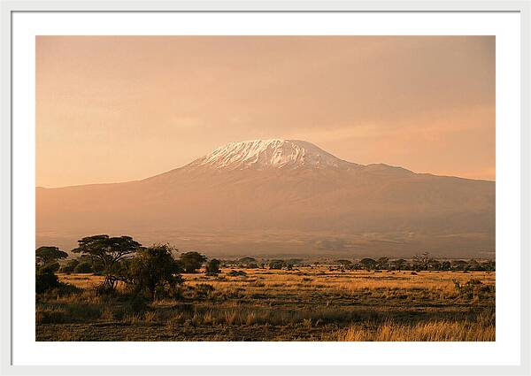 Majestic Kilimanjaro At Dusk