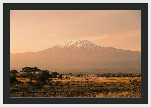 Majestic Kilimanjaro At Dusk