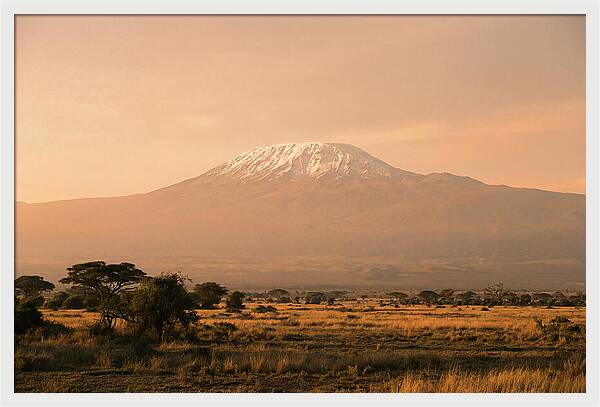 Majestic Kilimanjaro At Dusk