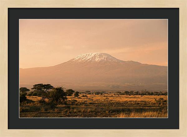 Majestic Kilimanjaro At Dusk