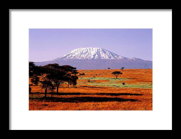 Majestic Kilimanjaro Over Amboseli