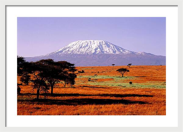 Majestic Kilimanjaro Over Amboseli