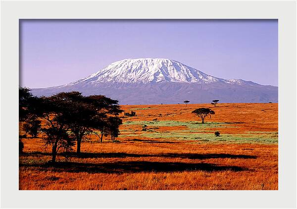 Majestic Kilimanjaro Over Amboseli