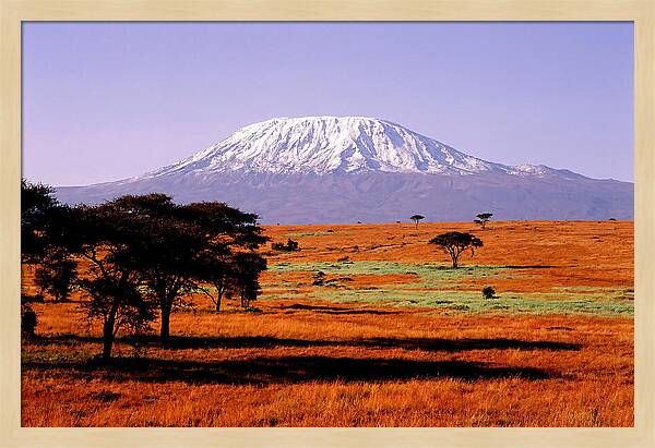 Majestic Kilimanjaro Over Amboseli