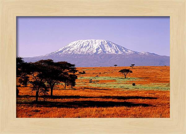 Majestic Kilimanjaro Over Amboseli