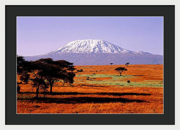 Majestic Kilimanjaro Over Amboseli
