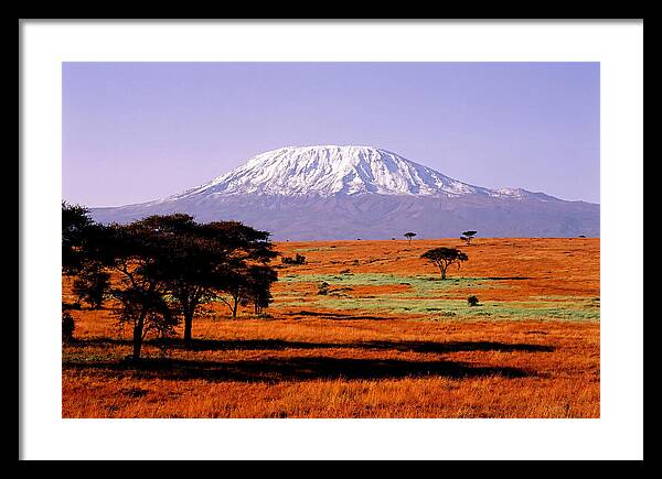 Majestic Kilimanjaro Over Amboseli