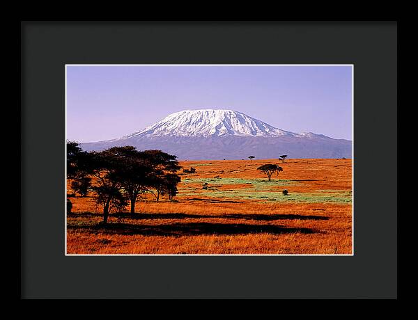 Majestic Kilimanjaro Over Amboseli