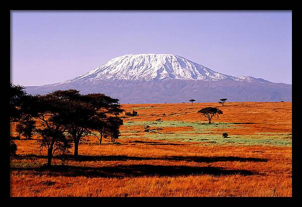 Majestic Kilimanjaro Over Amboseli
