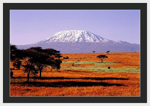 Majestic Kilimanjaro Over Amboseli