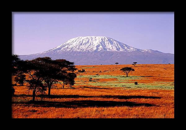 Majestic Kilimanjaro Over Amboseli