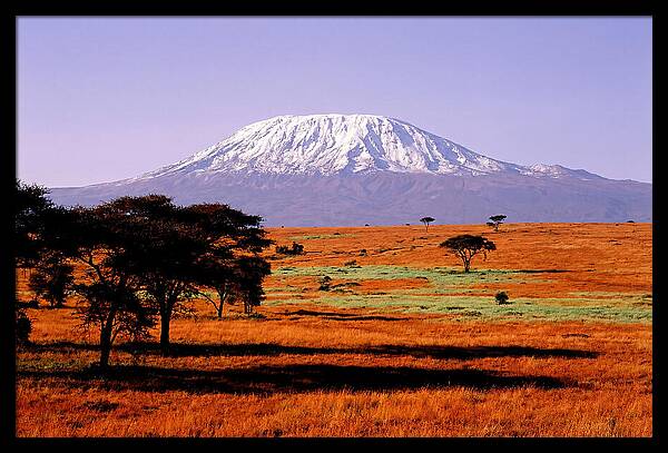 Majestic Kilimanjaro Over Amboseli