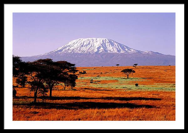 Majestic Kilimanjaro Over Amboseli