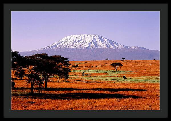 Majestic Kilimanjaro Over Amboseli