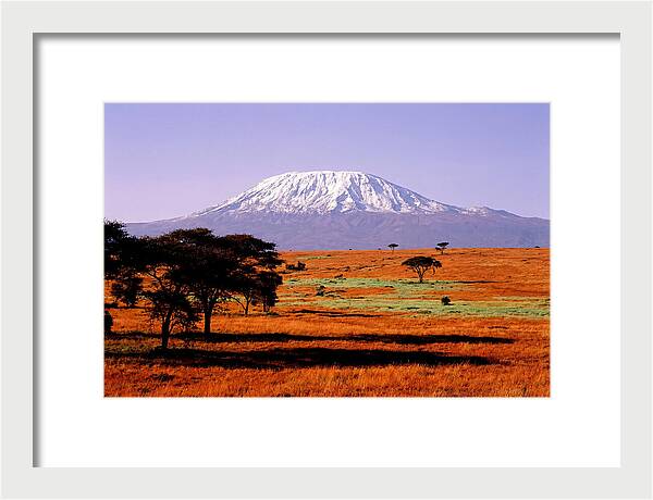 Majestic Kilimanjaro Over Amboseli