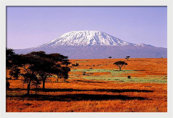 Majestic Kilimanjaro Over Amboseli