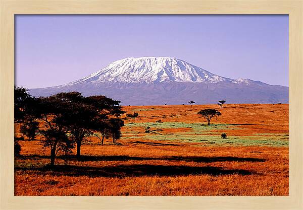 Majestic Kilimanjaro Over Amboseli