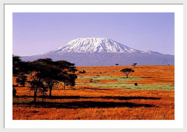 Majestic Kilimanjaro Over Amboseli