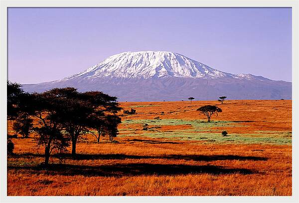 Majestic Kilimanjaro Over Amboseli