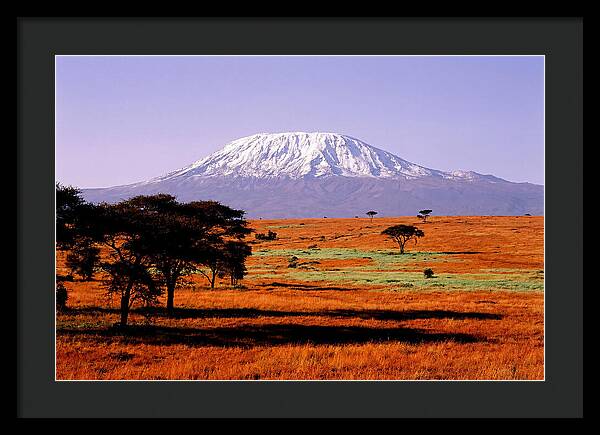 Majestic Kilimanjaro Over Amboseli