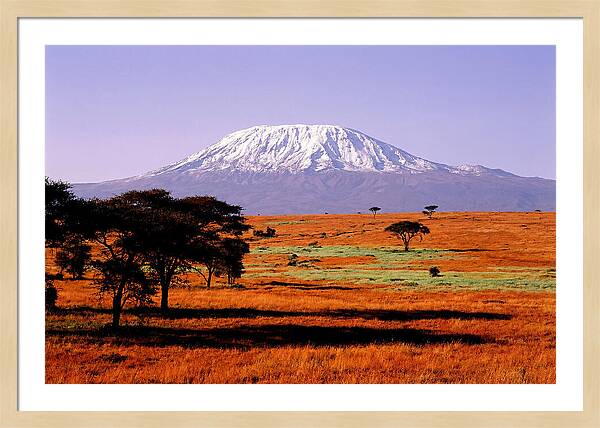 Majestic Kilimanjaro Over Amboseli