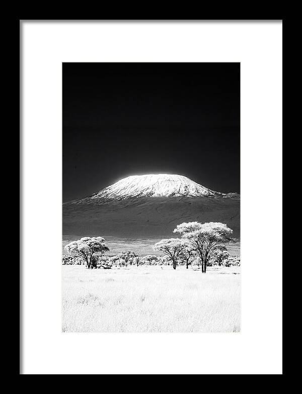 Majestic Kilimanjaro Over Amboseli