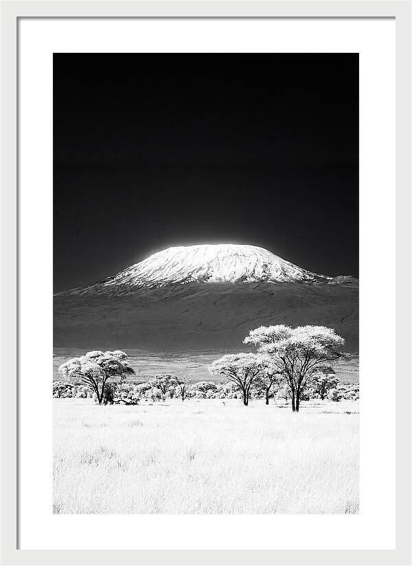Majestic Kilimanjaro Over Amboseli