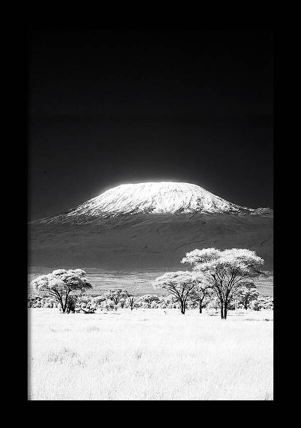 Majestic Kilimanjaro Over Amboseli