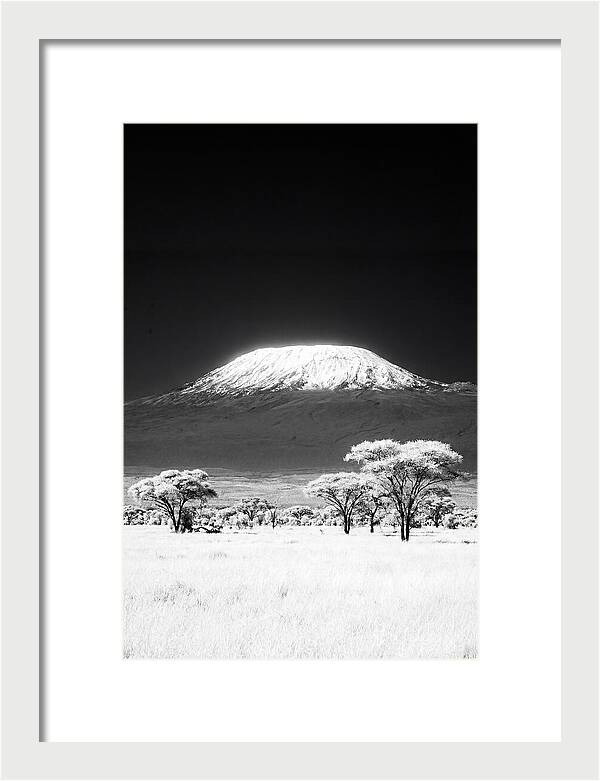 Majestic Kilimanjaro Over Amboseli