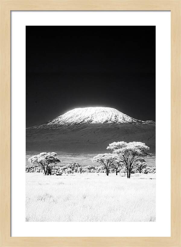 Majestic Kilimanjaro Over Amboseli