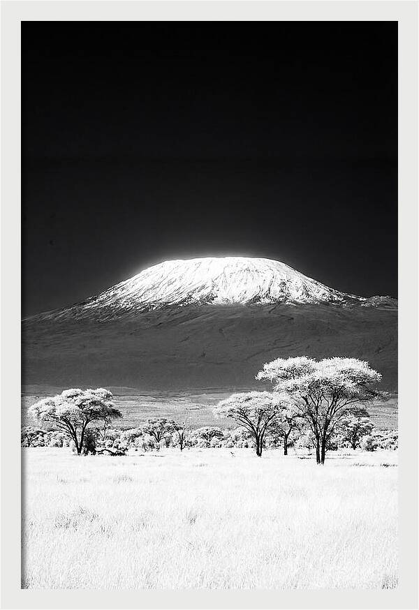 Majestic Kilimanjaro Over Amboseli