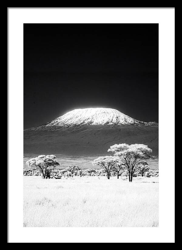 Majestic Kilimanjaro Over Amboseli