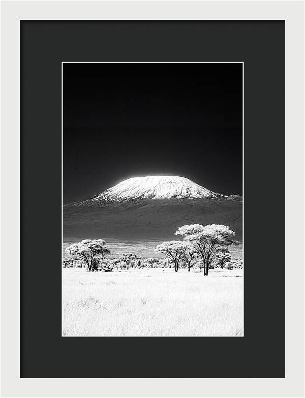 Majestic Kilimanjaro Over Amboseli