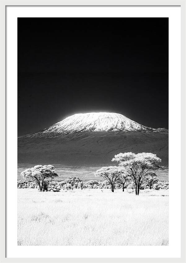 Majestic Kilimanjaro Over Amboseli