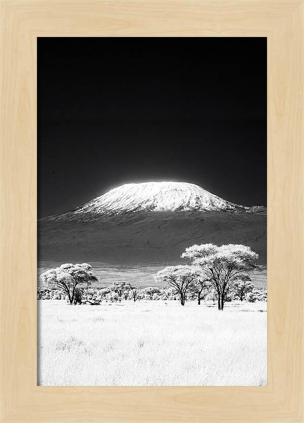 Majestic Kilimanjaro Over Amboseli