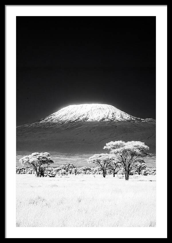 Majestic Kilimanjaro Over Amboseli