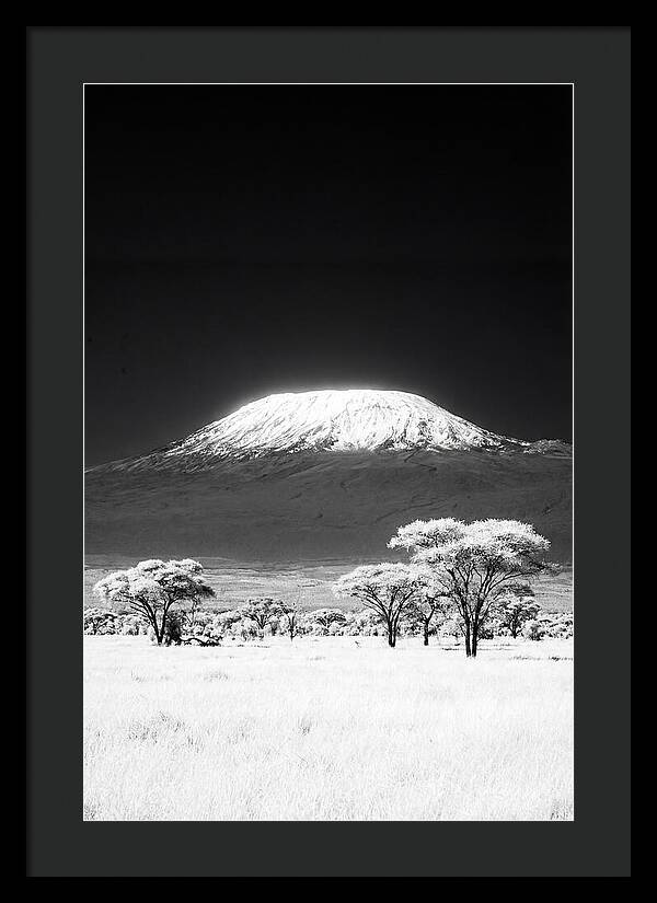 Majestic Kilimanjaro Over Amboseli