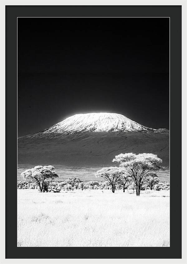Majestic Kilimanjaro Over Amboseli