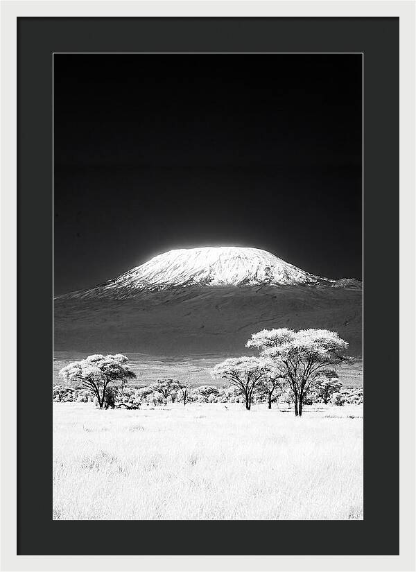Majestic Kilimanjaro Over Amboseli