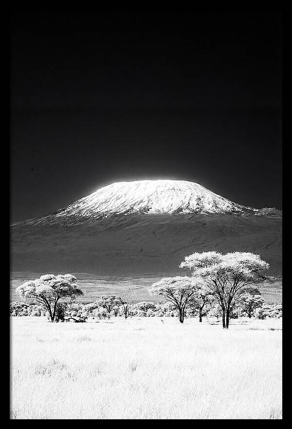 Majestic Kilimanjaro Over Amboseli