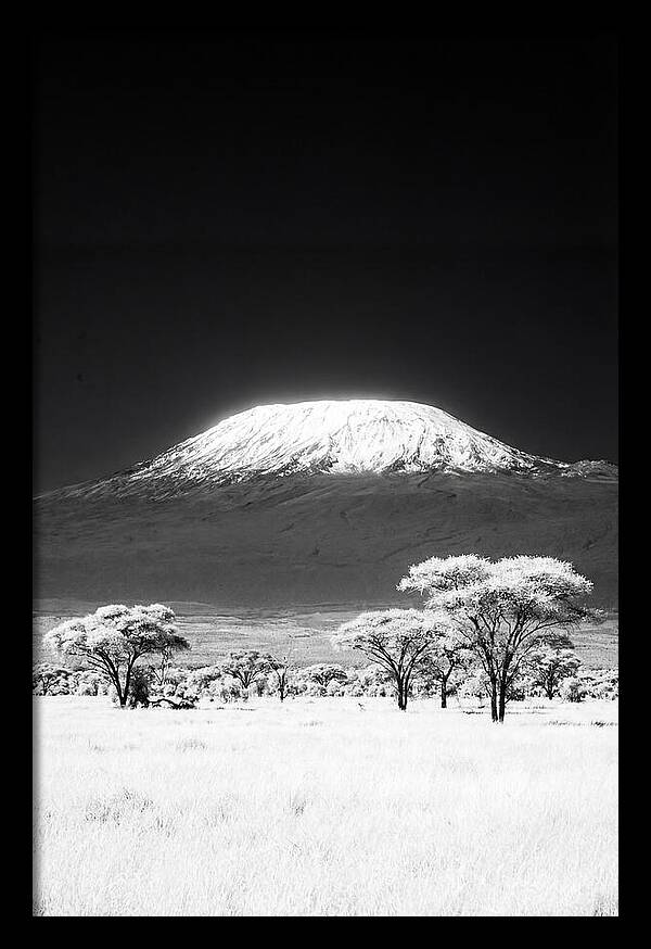 Majestic Kilimanjaro Over Amboseli